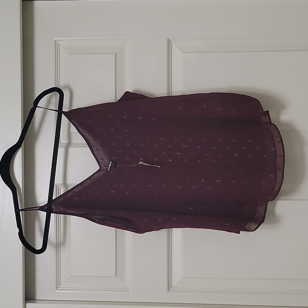 NWT Express sheer top